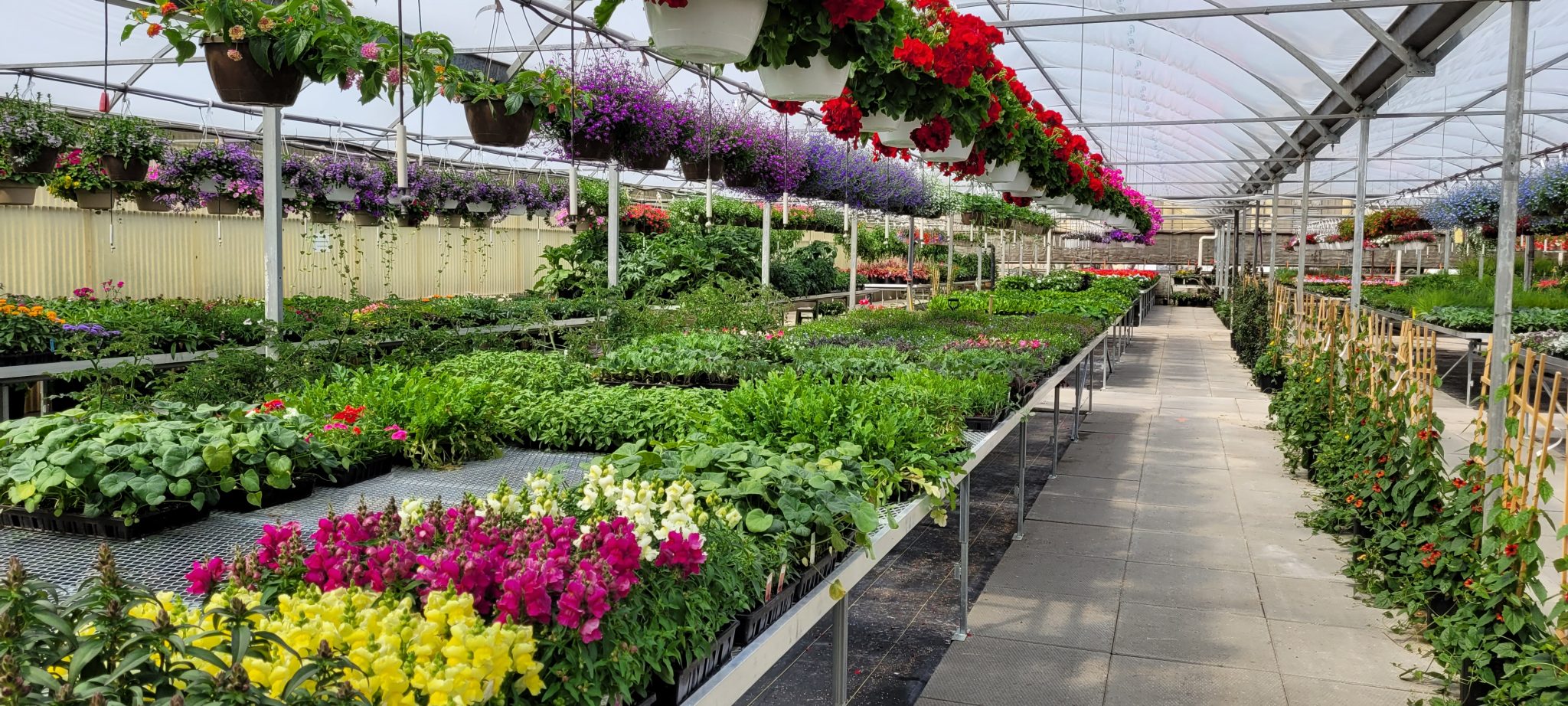 Garden Center AVB Greenhouses