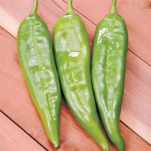 Peppers, Biggie Chile